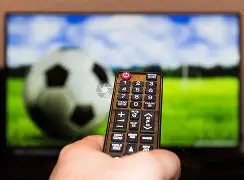 黄雅琼刘雨,辰浙江卫视,跨年晚会共,香港赛马会,香港赛马,马会赛事,马术资讯