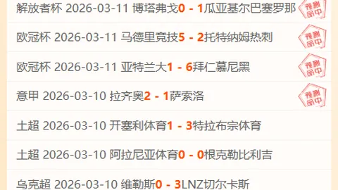 多特蒙德面临密集赛程稳定性挑战——格罗斯观点